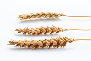 Wall Mural - Three wheat ears perspective, shallow depth of field