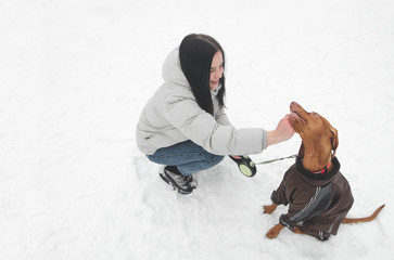 Canvas Print - Smiling girl on the street with a beautiful dog wearing clothes walking. Female and a beautiful dog on the background of a snow. Girls and dog sit in the snow and play,girl smiles and looks at pet.