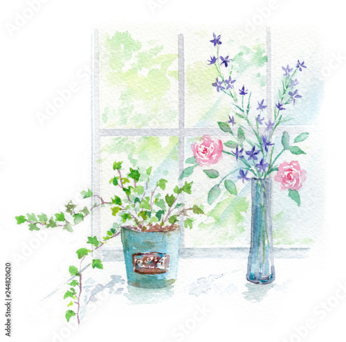 窓辺にある観葉植物と花瓶の花 水彩画 Stock イラスト Adobe Stock