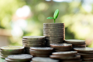 saving money concept,image of stack coins with small green tree on top.