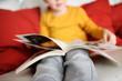 © Maria Sbytova - Little boy is sitting at home on the couch and reading a book. Learning to read.