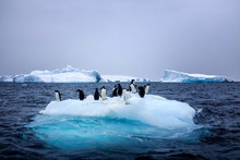 Snow, Ice, Glaciers, Ocean Water, Clouds And Penguins - A Typical Scene For Antarctica Tourism