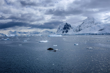 Wall Mural - Snow, ice, glaciers, ocean water, clouds and penguins - a typical scene for Antarctica tourism