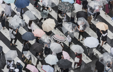  Tokyo Crosswalk Scene on the Rainy Day from above