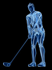 3d rendered medically accurate illustration of the skeleton of a golf player