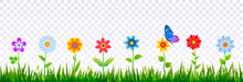 Bright Border Of Green Grass With Spring Flowers. Template For Decorating Easter Cards, Posters, Banners. Realistic Vector Illustration