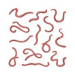 © akininam - Collection of earthworms. Set of worms. Illustration of animal, nature, fishing, earth and ground. Colored flat icon, vector design