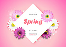 Spring Sale Off Background With Colorful Daisy Flower Blossom Design Vector