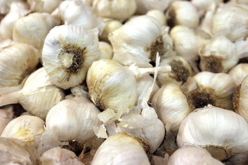 Wall Mural - A group of garlic at market place