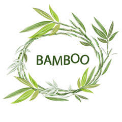  Okrągła rama akwarela bambusa. Ramy roślin do projektowania. Szablon dla tekstu.