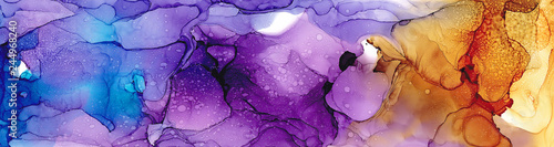 Ilustracja: High quality . Alcohol ink modern abstract painting, contemporary details art. High quality . Alcohol ink modern abstract painting, contemporary details art.