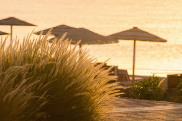 Wall Mural - sunrise, sunset on the beach with umbrellas orange and blue color at dusk.