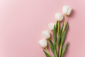 Wall Mural - White tulip flowers on a pastel pink background