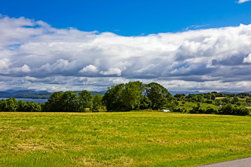 Landscape of green field trees and storm clouds