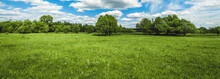 Green Field With Trees And Blue Sky With Clouds Sunny Day, Beautiful Rural Landscape, Panoramic Banner