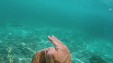 Man Swims Underwater In Oceaan Among Coral Reefs. First Person View