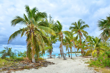 Canvas Print - Paradise beach on the island, Bahamas