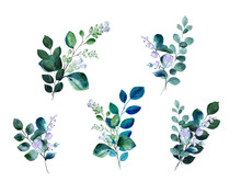 Watercolor Premade Blooming Twigs Compositions, Set Of Isolated Elements