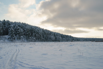 Sticker - Snow russian winter. Beautiful landscape at that cold time when the nature had been frozen. Nature is resting.