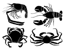 Graphical Set Of Sea-food Isolated On White ,vector Lobster ,crab And Shrimp For Tattoo ,printing