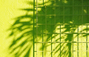 Close-up of Lime Green Wall and Fence