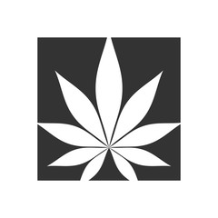 Wall Mural - leaf of cannabis vector logo.