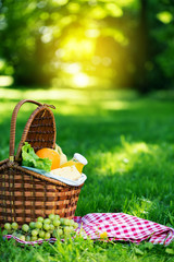 Picnic basket with vegetarian food in summer park