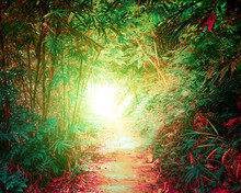 Tunnel In Fantasy Tropical Forest