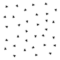 insect pattern