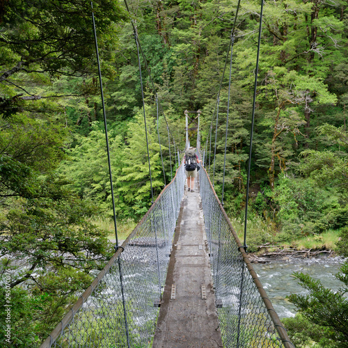 Cannibal Gorge Swing Bridge St James Walkway New Zealand