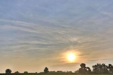 Beautiful green field at sunrise time in thailand.