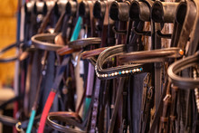 Row Of Bridles In A Tack Room On A Forse Riding Farm