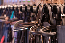 Row Of Bridles In A Tack Room On A Horse Riding Farm