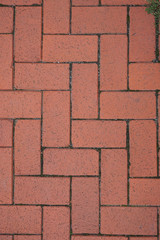 Wall Mural - pavemnet or sidewalk with red brick paving stones. background texture.