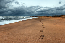 Human Footprints On The Yellow Loose Sand