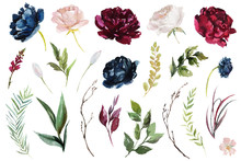 Watercolour Floral Illustration Set. DIY Flower Elements Collection - Perfect For Flower Bouquets, Wreaths, Arrangements, Wedding Invitations, Anniversary, Birthday, Postcards, Greetings, Cards, Logo.