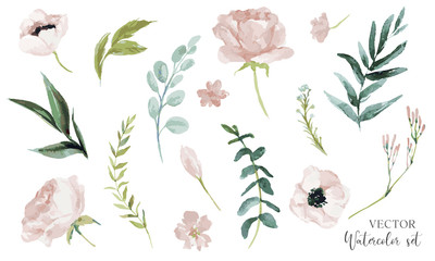 Vector watercolour floral illustration set. DIY flower elements collection - perfect for flower bouquets, wreaths, arrangements, wedding invitations, anniversary, birthday, greetings, cards, logo.