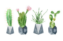 Set Of Watercolor Blossom Mexican Cactus In Concrete Geometric Pots. Colorful Miniature Cacti Illustrations From Desert On White Background, Vector Format. Hand Drawn Blooming Plant For Office Indoor