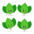 Mint. Cute herb vector character set isolated on white
