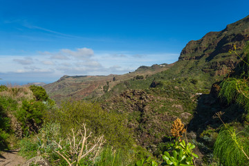 Wall Mural - Canary islands gran canaria winter day