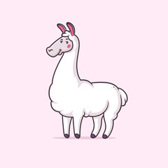 Wall Mural - Cute white llama vector cartoon illustration