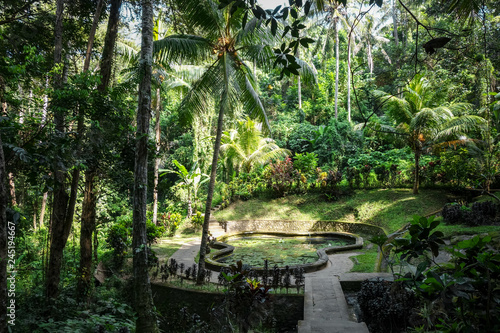 Pond And Jungle In Goa Gajah Elephant Cave Temple Ubud Pond And Jungle In Goa Gajah Elephant Cave Temple Ubud