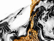 © ogologo - Creative abstract hand painted background, wallpaper, texture, close-up fragment of acrylic painting on canvas with brush strokes. Modern art. Black and white with gold background. Contemporary art.