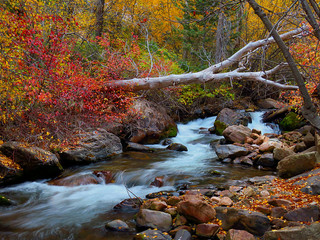 Autumn Colors along the River