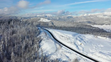Wall Mural - aerial view on the road and forest at the winter time. natural winter landscape from air. forest und