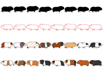 Wall Mural - Guinea pigs in a row set