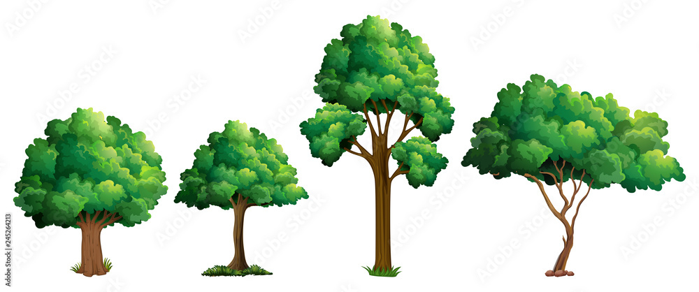 Set of different tree design - obrazy, fototapety, plakaty 