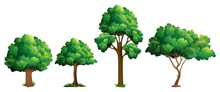 Set Of Different Tree Design
