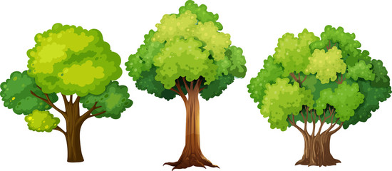 Wall Mural - set of different tree design