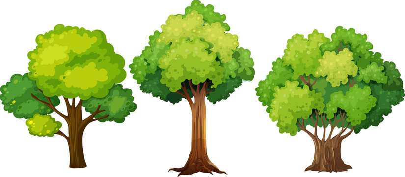 set of different tree design